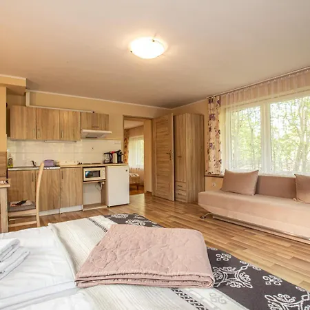 Przy Strumyku Apartmán *