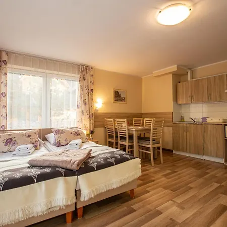 Przy Strumyku Apartmán
