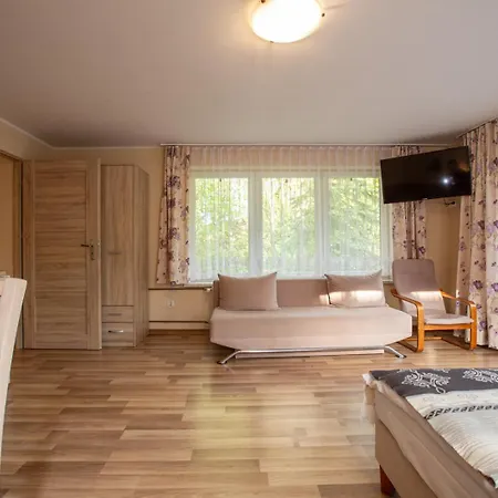 Apartament Przy Strumyku *